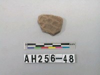 藏品(紅色夾砂陶片)的圖片